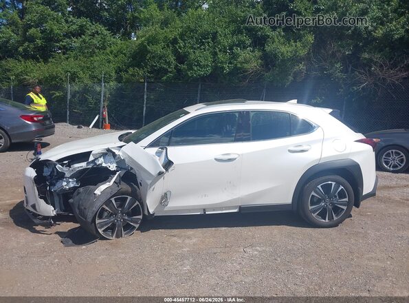 JTHUCJDH2S2007875 2025 LEXUS UX 300H White Вид задньої частини салону