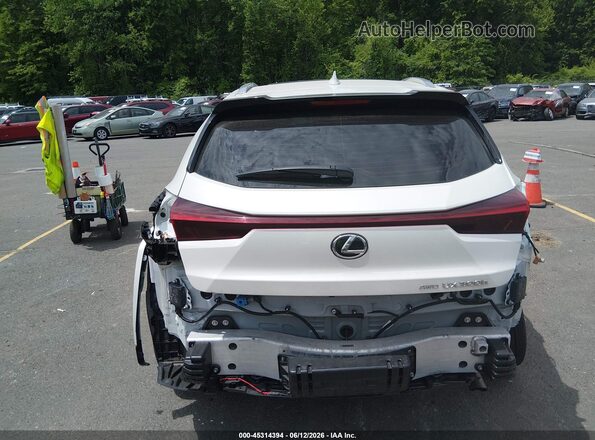 JTHUCJDH5S2009149 2025 LEXUS UX 300H White 