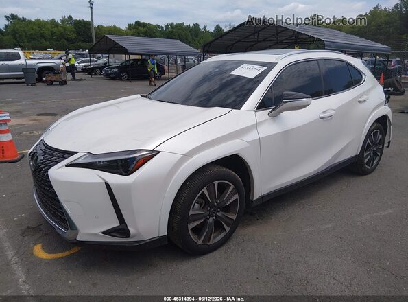 JTHUCJDH5S2009149 2025 LEXUS UX 300H White Przód lewy