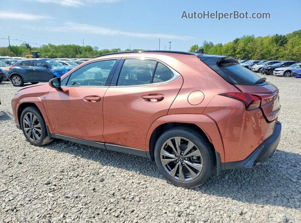 JTHUCJDH6S2009399 2025 LEXUS UX Золотой 