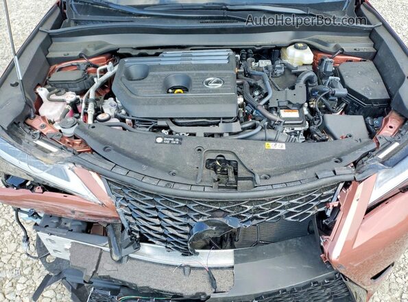 JTHUCJDH6S2009399 2025 LEXUS UX Золотой 