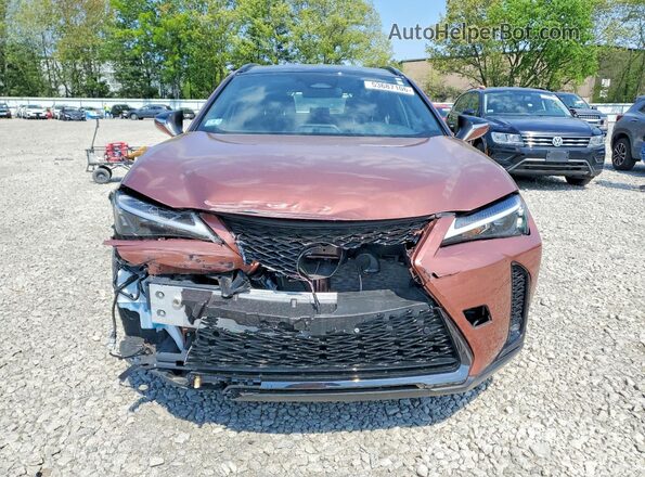 JTHUCJDH6S2009399 2025 LEXUS UX Золотой 