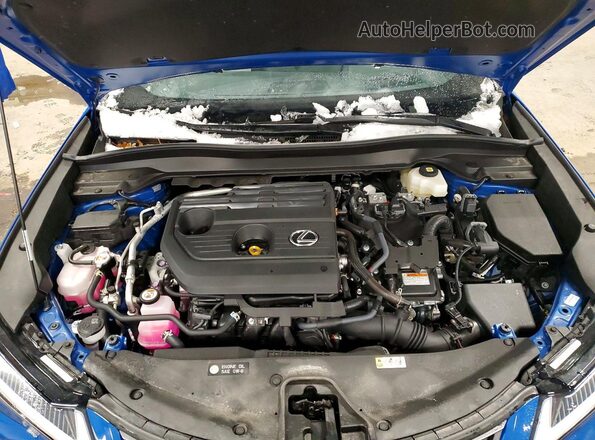 JTHUCJDH9S2010112 2025 LEXUS UX Blue 