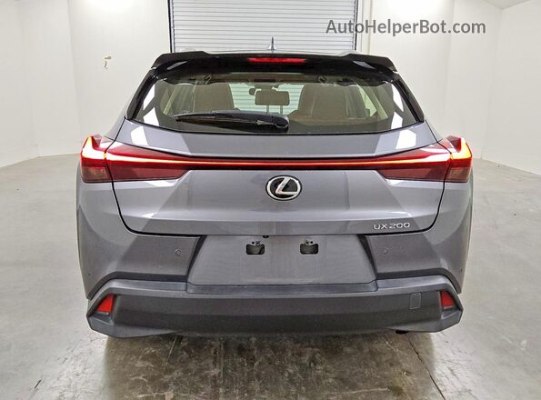 JTHX3JBH0M2040232 2021 LEXUS UX Gray Հետևի տեսք