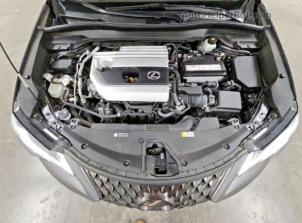 JTHX3JBH0M2040232 2021 LEXUS UX Gray Շարժիչի բաժամունքի տեսք