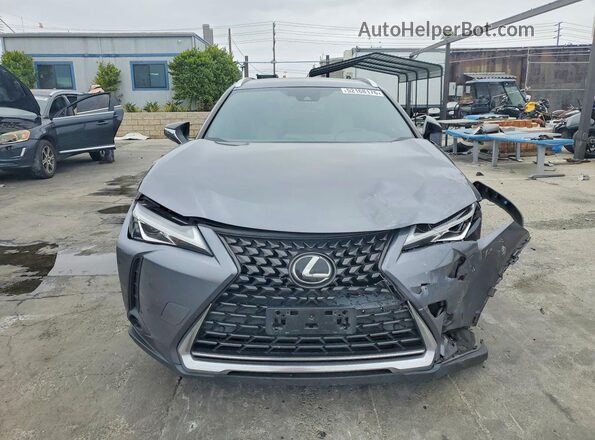 JTHX3JBH1M2036819 2021 LEXUS UX Charcoal Widok z przodu