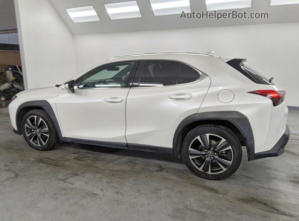 JTHX3JBH1N2046400 2022 LEXUS UX White 