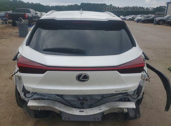 JTHX3JBH3M2033856 2021 LEXUS UX White 