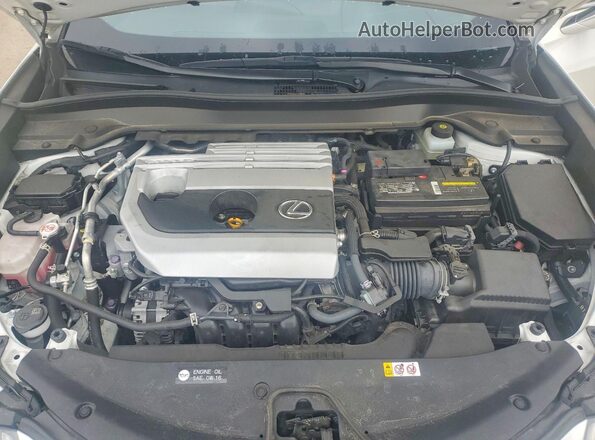 JTHX3JBH3M2033856 2021 LEXUS UX White 