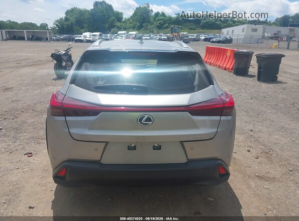 JTHX3JBH4L2029197 2020 LEXUS UX 200 Brown 