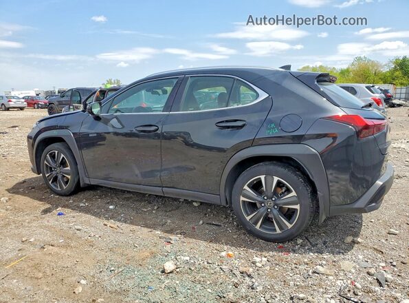 JTHX3JBH4N2049520 2022 LEXUS UX Black Tył lewy