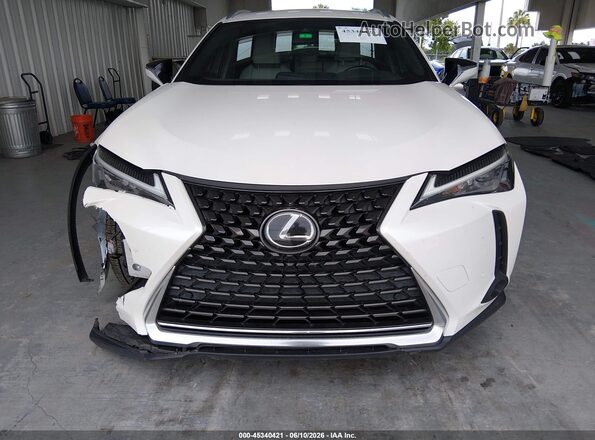 JTHX3JBH7L2022776 2020 LEXUS UX 200 White Սալոնի հետևի տեսք