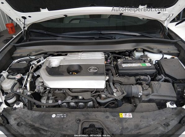 JTHX3JBH7L2022776 2020 LEXUS UX 200 White Հետևի տեսք