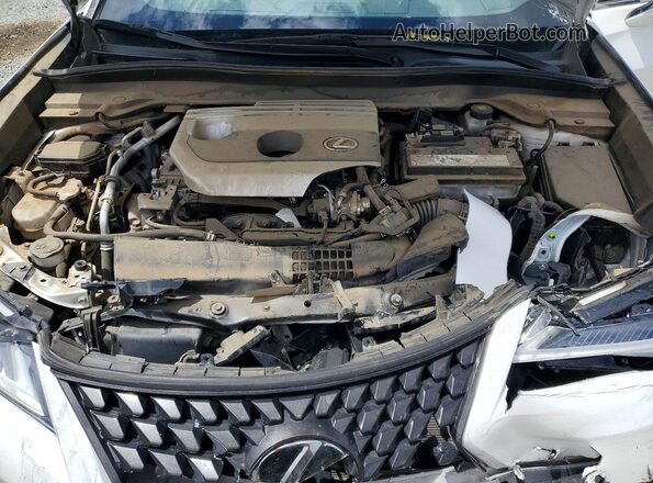 JTHX3JBHXN2053569 2022 LEXUS UX Белый Вид задней части салона