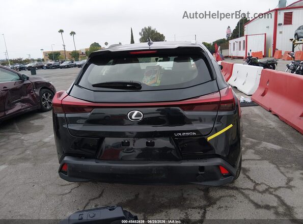 JTHX6JBH2P2145351 2023 LEXUS UX 250H Black 