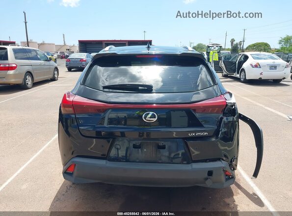JTHX6JBH6P2134465 2023 LEXUS UX 250H Black 