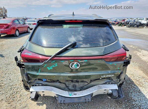 JTHX6JBH6R2193521 2024 LEXUS UX Green 
