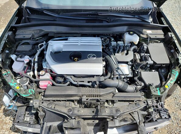 JTHX6JBH6R2193521 2024 LEXUS UX Green 