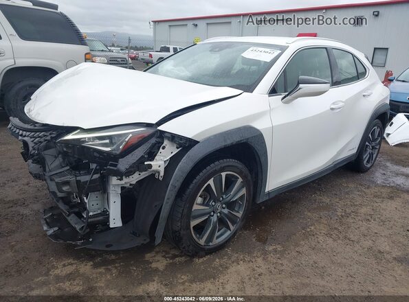 JTHX9JBH0L2033360 2020 LEXUS UX 250H White Przód lewy
