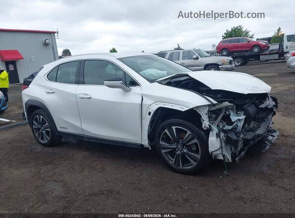 JTHX9JBH0L2033360 2020 LEXUS UX 250H White Widok wnętrza 360 stopni