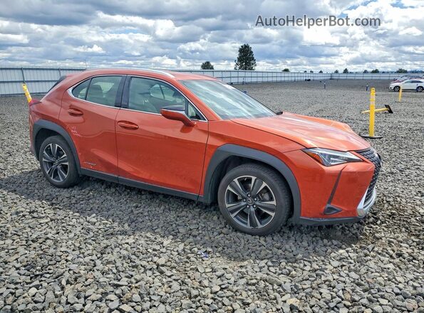 JTHX9JBH1L2034808 2020 LEXUS UX Orange წინა მარჯვენა