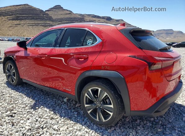 JTHX9JBH1L2036140 2020 LEXUS UX Red უკანა მარცხენა