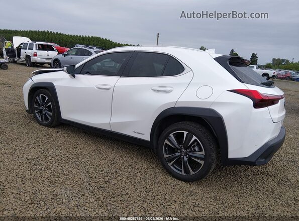 JTHX9JBH4N2059012 2022 LEXUS UX 250H White Հետևի ձախ
