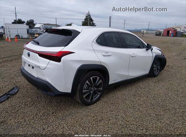 JTHX9JBH4N2059012 2022 LEXUS UX 250H White Հետևի աջ