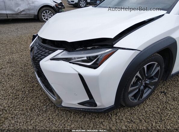 JTHX9JBH4N2059012 2022 LEXUS UX 250H White 