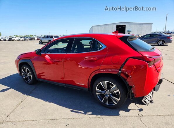 JTHX9JBH5L2035444 2020 LEXUS UX Red Հետևի ձախ