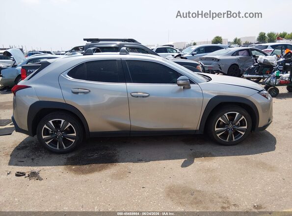 JTHY3JBH1K2008116 2019 LEXUS UX 200 Gray Вид задньої частини салону