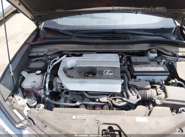 JTHY3JBH1K2008116 2019 LEXUS UX 200 Gray Вид ззаду