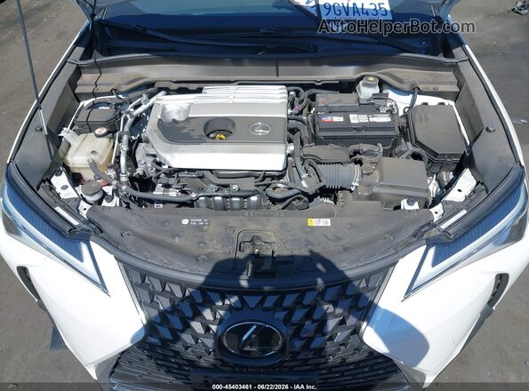 JTHY3JBH1K2013882 2019 LEXUS UX 200 White Rear view