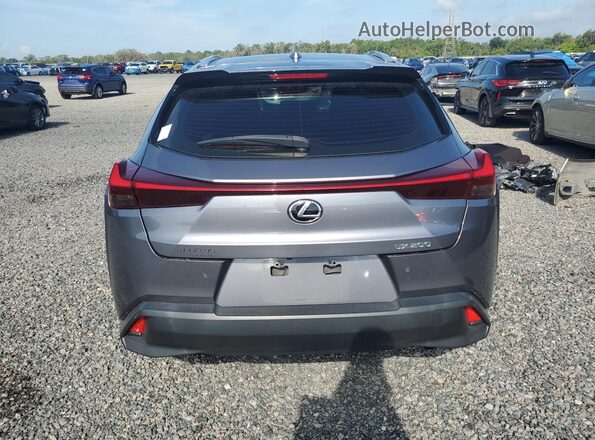 JTHY3JBH3K2013432 2019 LEXUS UX Серый Вид сзади