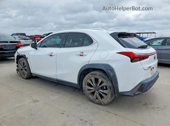 JTHY3JBH6K2010119 2019 LEXUS UX White უკანა მარცხენა