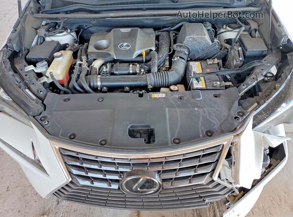 JTJAARDZ6L5003956 2020 LEXUS NX White Engine compartment view