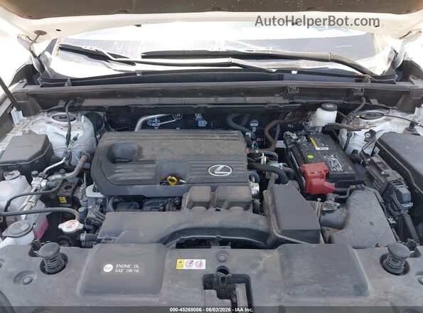 JTJADCAZ0P2007503 2023 LEXUS NX 250 Белый Вид сзади
