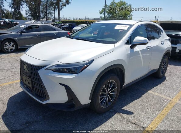 JTJADCAZ0P2007503 2023 LEXUS NX 250 Белый Передняя левая четверть