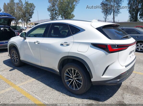JTJADCAZ0P2007503 2023 LEXUS NX 250 Белый Задняя левая четверть