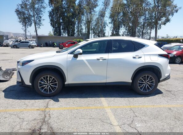 JTJADCAZ0P2007503 2023 LEXUS NX 250 Белый Панорамный вид салона 360°
