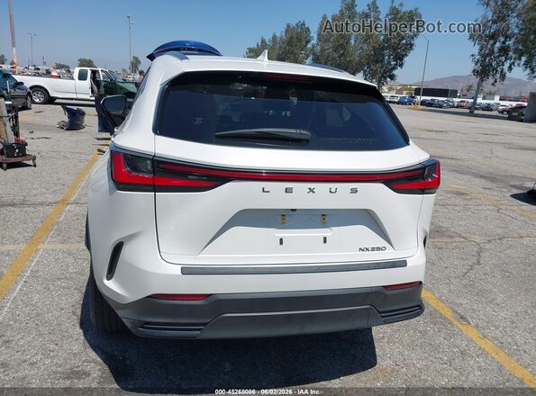 JTJADCAZ0P2007503 2023 LEXUS NX 250 Белый 