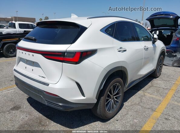 JTJADCAZ0P2007503 2023 LEXUS NX 250 Белый Задняя правая четверть