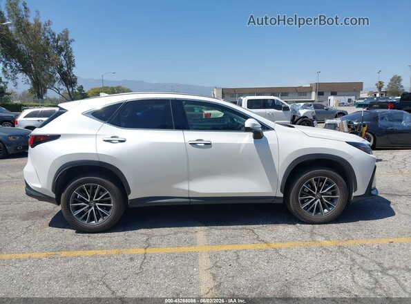 JTJADCAZ0P2007503 2023 LEXUS NX 250 Белый Вид задней части салона