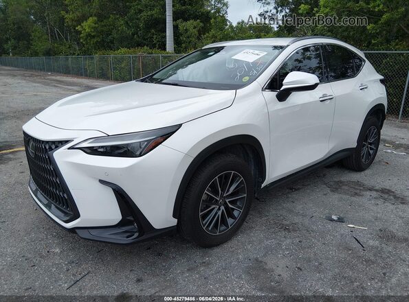 JTJADCAZXS2022079 2025 LEXUS NX 250 White Передня ліва чверть