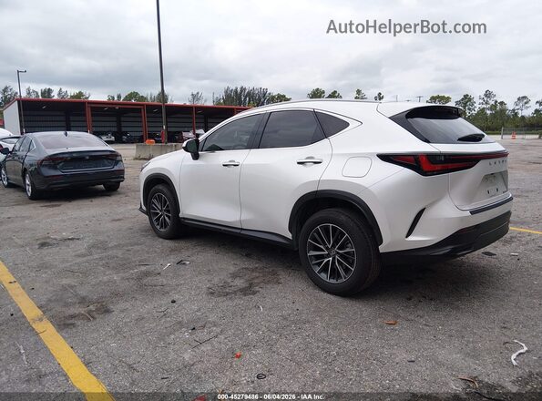 JTJADCAZXS2022079 2025 LEXUS NX 250 White Задня ліва чверть