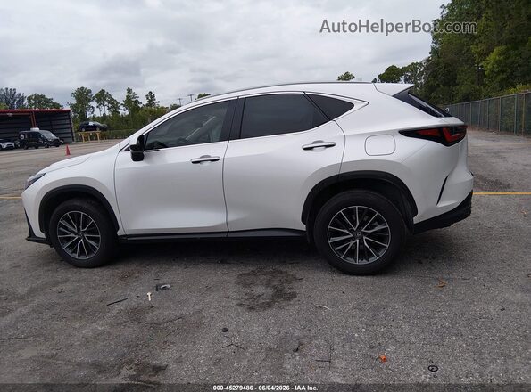 JTJADCAZXS2022079 2025 LEXUS NX 250 White Панорамний вид салону 360°