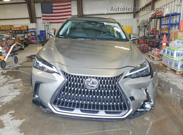 JTJAKCEZ7S2066556 2025 LEXUS NX Silver 