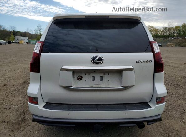 JTJAM7BX0M5287552 2021 LEXUS GX White Հետևի տեսք
