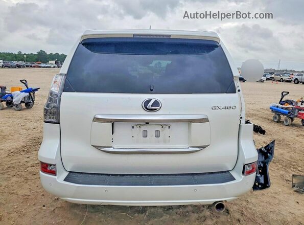 JTJAM7BX5P5342260 2023 LEXUS GX White Widok z tyłu