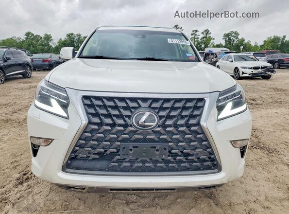 JTJAM7BX5P5342260 2023 LEXUS GX White Widok z przodu